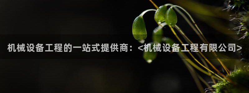 杏盛平台上级：机械设备工程的一站式提供商：<机械设备工程有限公司>