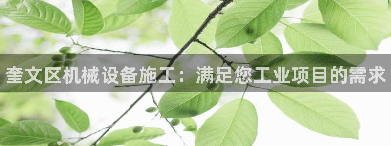 杏盛平台注册：奎文区机械设备施工：满足您工业项目的需求
