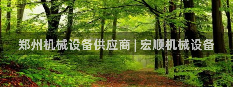 杏盛平台官网注册：郑州机械设备供应商 | 宏顺机械设备