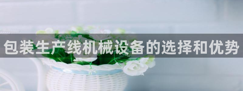 杏盛注册登录：包装生产线机械设备的选择和优势