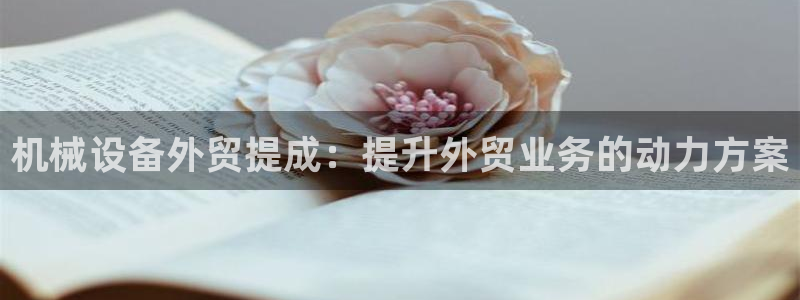 杏盛官网登录：机械设备外贸提成：提升外贸业务的动力方案