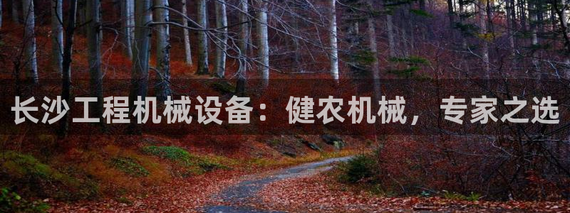杏盛平台：长沙工程机械设备：健农机械，专家之选