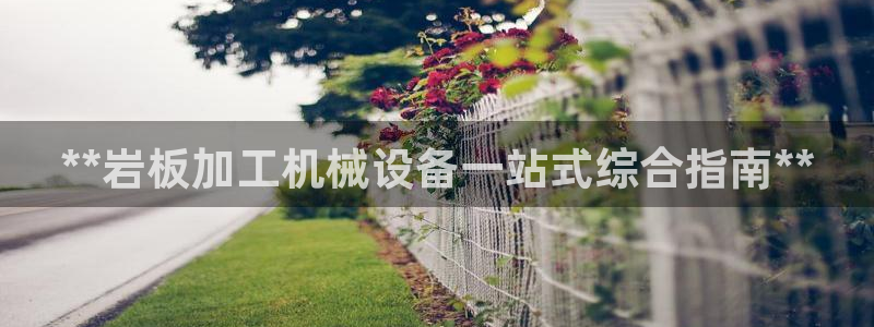 杏盛平台官网注册：**岩板加工机械设备一站式综合指南**
