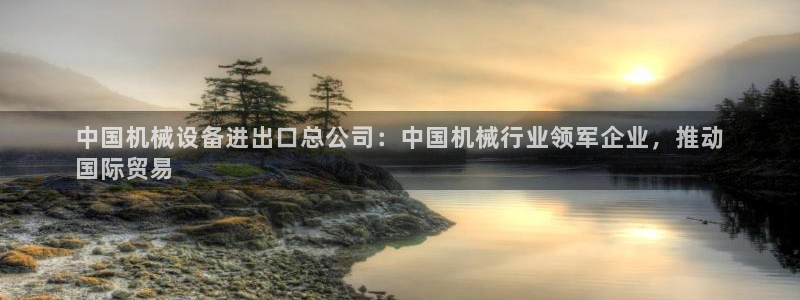 杏盛开户地址：中国机械设备进出口总公司：中国机械行业领军企业，推动
国际贸易