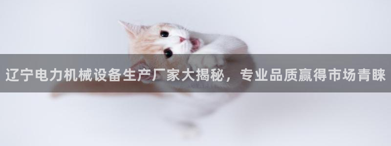 杏盛平台官网：辽宁电力机械设备生产厂家大揭秘，专业品质赢得市场青睐