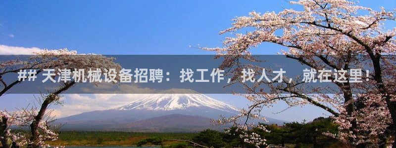 杏盛平台主管：## 天津机械设备招聘：找工作，找人才，就在这里！