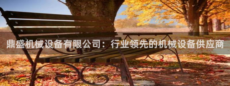 杏盛平台登陆地址：鼎盛机械设备有限公司：行业领先的机械设备供应商