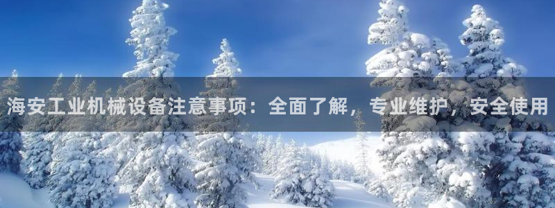 杏盛官网登录：海安工业机械设备注意事项：全面了解，专业维护，安全使用
