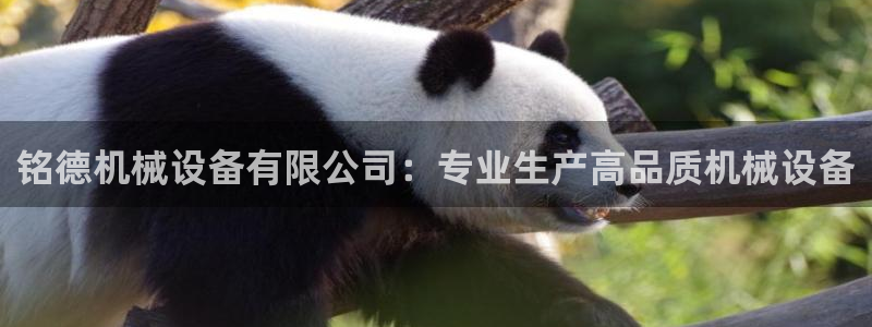 杏盛官网登录：铭德机械设备有限公司：专业生产高品质机械设备