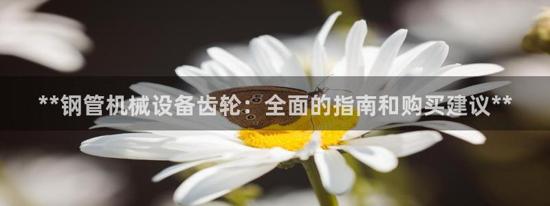 杏盛平台：**钢管机械设备齿轮：全面的指南和购买建议**