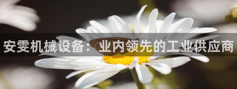 杏盛平台登录：安雯机械设备：业内领先的工业供应商
