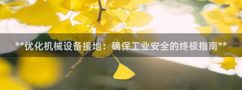 杏盛代理：**优化机械设备接地：确保工业安全的终极指南**