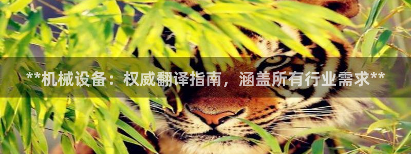 杏盛官网登录：**机械设备：权威翻译指南，涵盖所有行业需求**