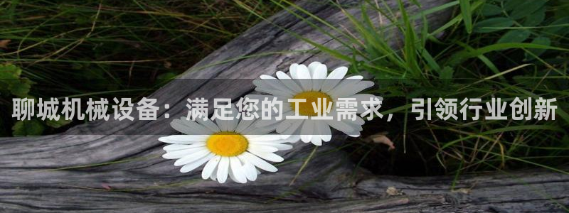 杏盛平台登陆地址：聊城机械设备：满足您的工业需求，引领行业创新