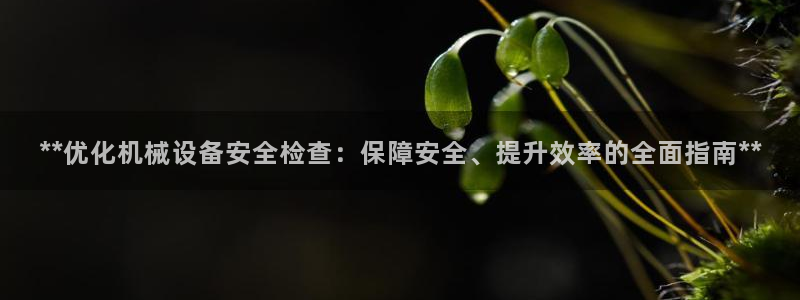 杏盛开户地址：**优化机械设备安全检查：保障安全、提升效率的全面指南**