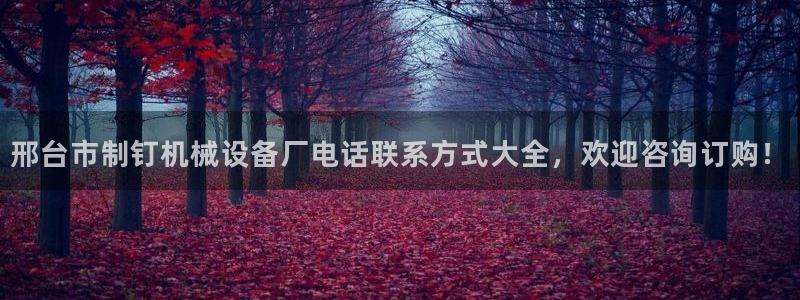 杏盛东24 35 53：邢台市制钉机械设备厂电话联系方式大全，欢迎咨询订购！