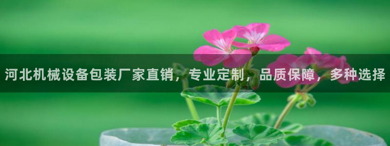 杏盛代理：河北机械设备包装厂家直销，专业定制，品质保障，多种选择
