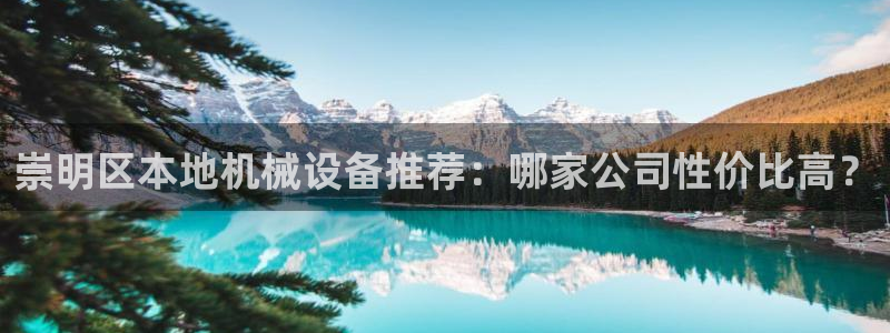 杏盛平台官网注册登录：崇明区本地机械设备推荐：哪家公司性价比高？