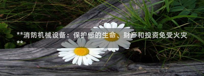 杏盛平台登陆：**消防机械设备：保护您的生命、财产和投资免受火灾
**