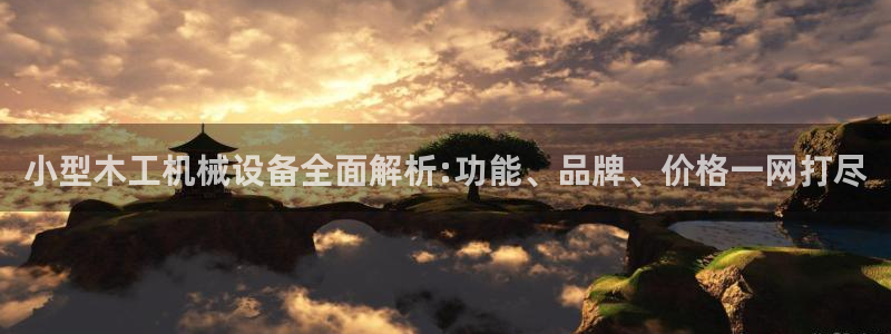 杏盛平台代理注册：小型木工机械设备全面解析:功能、品牌、价格一网打尽