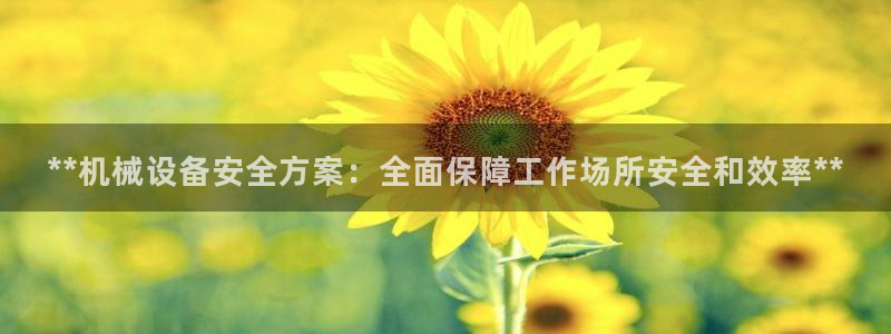 杏盛平台官网注册：**机械设备安全方案：全面保障工作场所安全和效率**