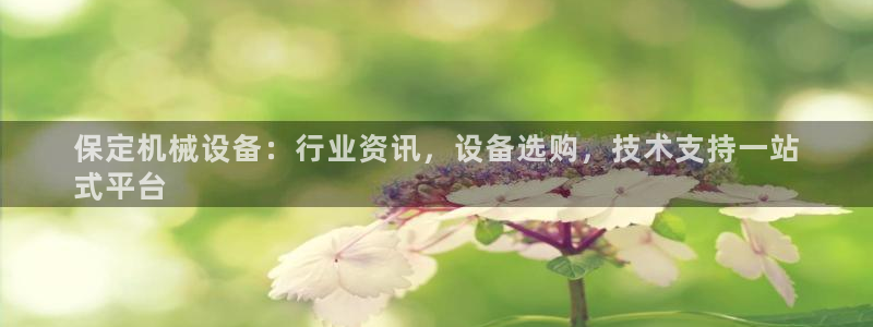 杏盛平台官网：保定机械设备：行业资讯，设备选购，技术支持一站
式平台