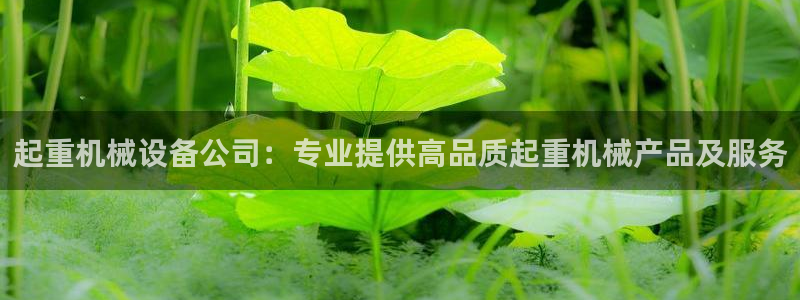 杏盛官网：起重机械设备公司：专业提供高品质起重机械产品及服务