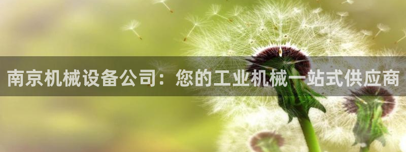 杏盛平台主管：南京机械设备公司：您的工业机械一站式供应商