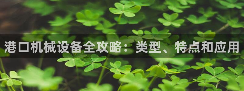 杏盛东24 35 53：港口机械设备全攻略：类型、特点和应用