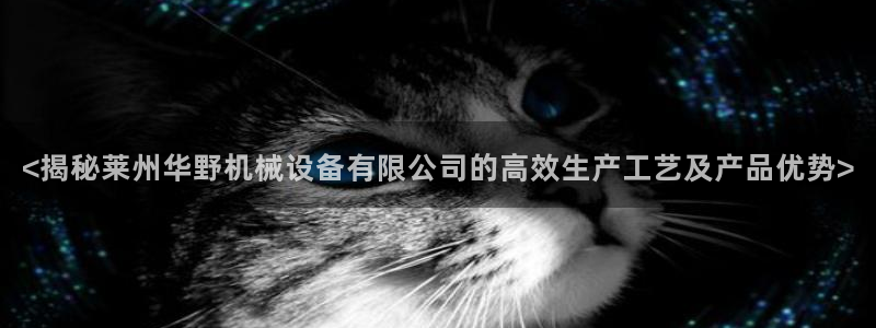 杏盛主管：<揭秘莱州华野机械设备有限公司的高效生产工艺及产品优势>