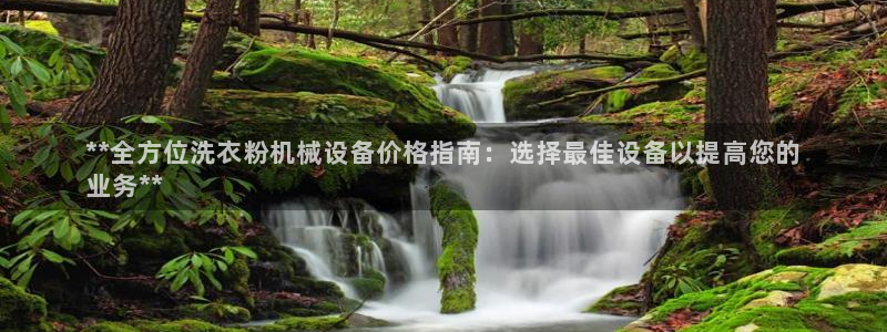 杏盛娱乐代理：**全方位洗衣粉机械设备价格指南：选择最佳设备以提高您的
业务**