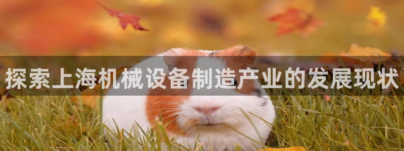 杏盛平台代理：探索上海机械设备制造产业的发展现状
