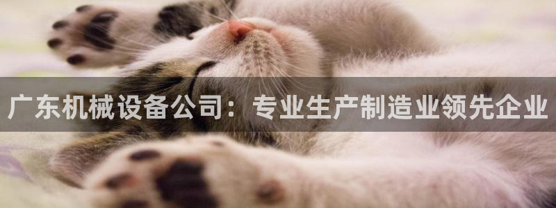 杏盛东24 35 53：广东机械设备公司：专业生产制造业领先企业