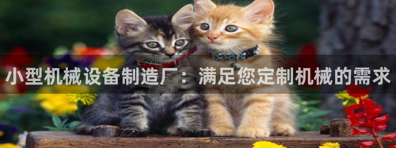 杏盛平台开户：小型机械设备制造厂：满足您定制机械的需求