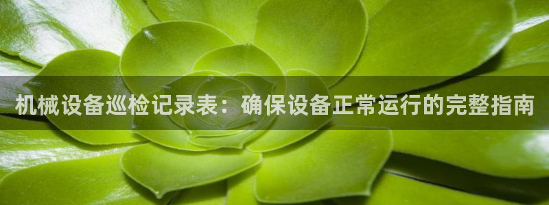 杏盛代理：机械设备巡检记录表：确保设备正常运行的完整指南