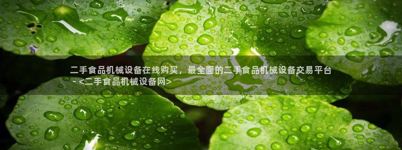 杏盛主管：二手食品机械设备在线购买，最全