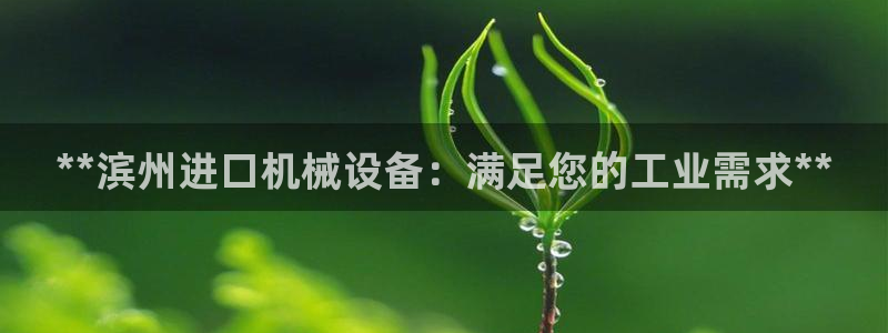 杏盛平台开户 贴吧：**滨州进口机械设备：满足您的工业需求**