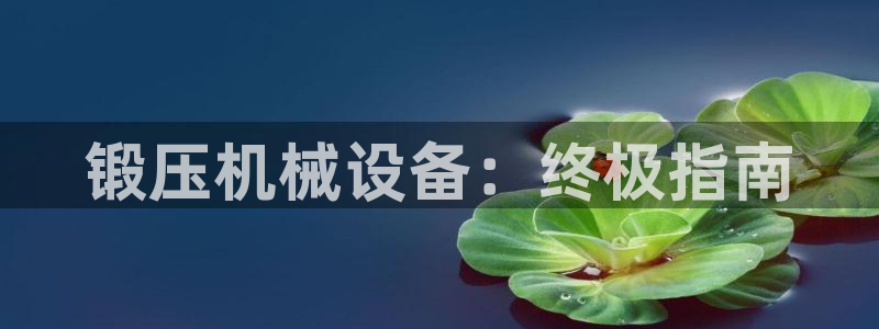 杏盛平台登录：锻压机械设备：终极指南