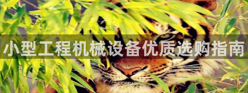 杏盛平台主管：小型工程机械设备优质选购指南