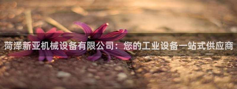 杏盛平台注册：菏泽新亚机械设备有限公司：您的工业设备一站式供应商