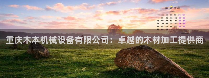 杏盛平台注册：重庆木本机械设备有限公司：卓越的木材加工提供商