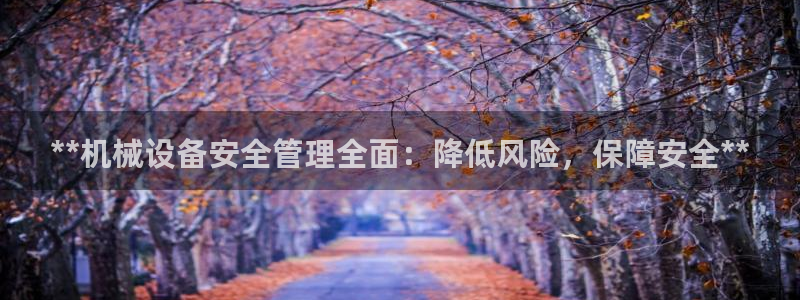 杏盛平台：**机械设备安全管理全面：降低风险，保障安全**