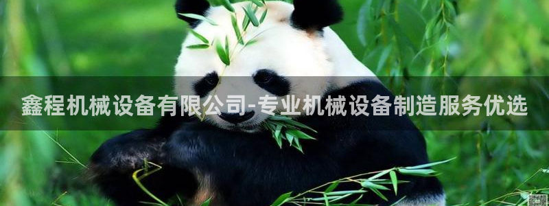 杏盛乐岳35994誓：鑫程机械设备有限公司-专业机械设备制造服务优选