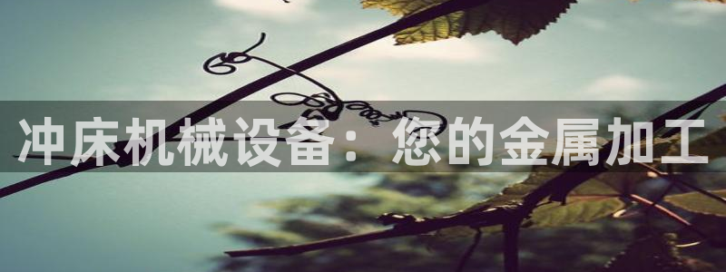 杏盛官网：冲床机械设备：您的金属加工