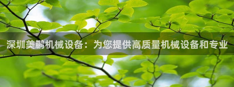 杏盛平台官网注册登录：深圳美鹏机械设备：