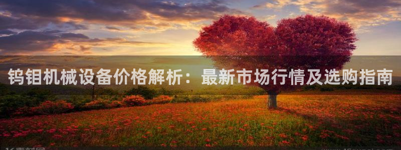 杏盛乐岳35994誓：钨钼机械设备价格解