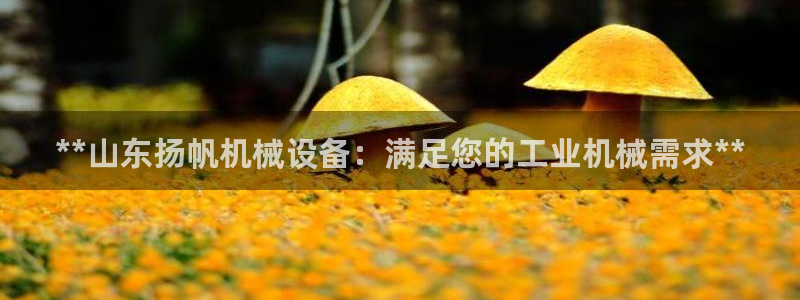 杏盛平台代理注册：**山东扬帆机械设备：满足您的工业机械需求**