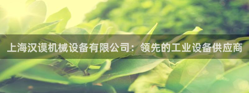 杏盛平台登录地址：上海汉谟机械设备有限公