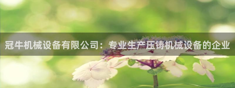 杏盛平台代理注册：冠牛机械设备有限公司：