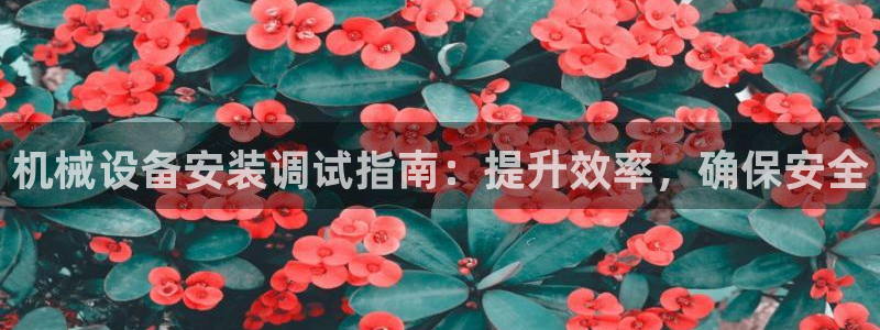 杏盛主管：机械设备安装调试指南：提升效率